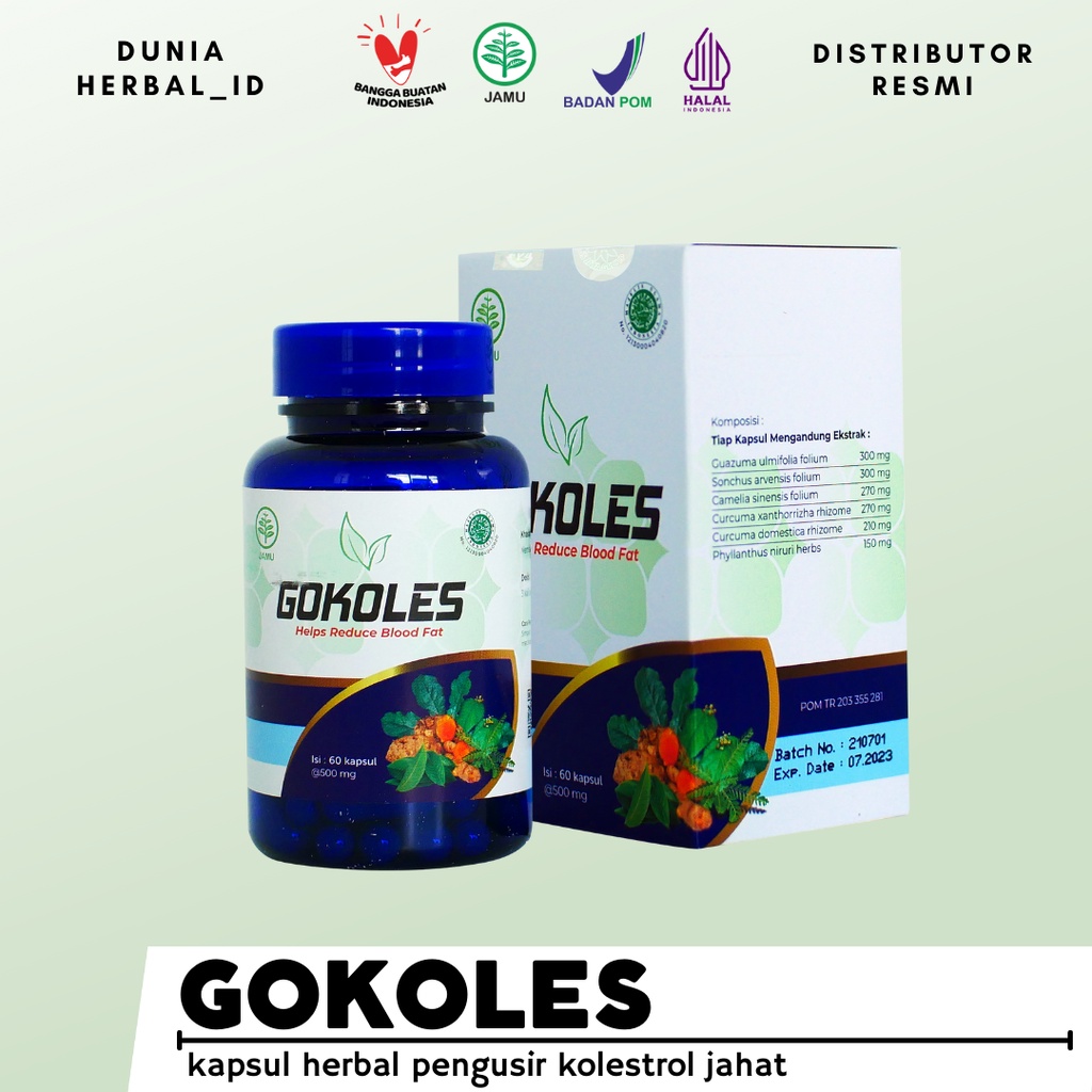 GOKOLES - BPOM - AMAN - OBET HERBAL - MENGATASI KOLESTEROL - GOLKOLES