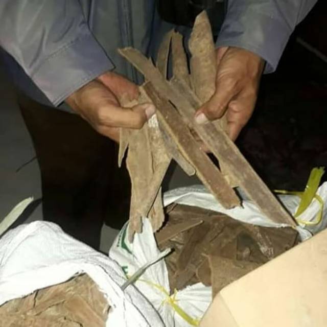 

Kulit Kayu Masohi/Mesoyi Dari Papua