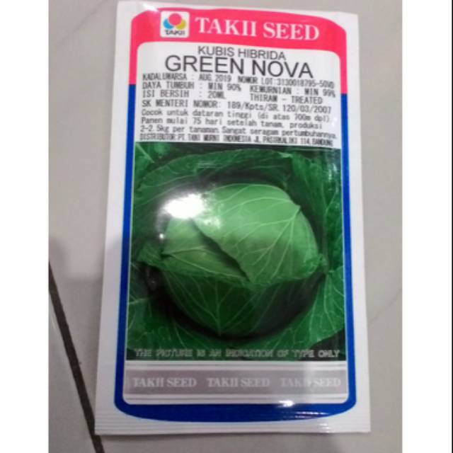 Benih Kubis/Kol Grand Nova 20gr