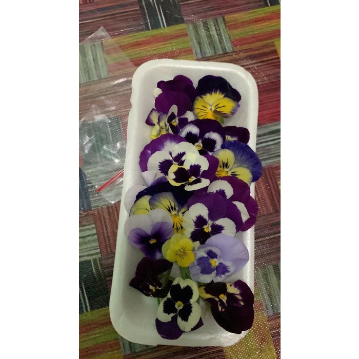 

Edible flower Per pack Fresh