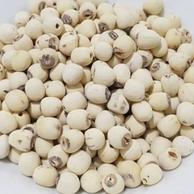  Biji Teratai  Lotus seed 1 kg Lien Ci 1kg Lienci 