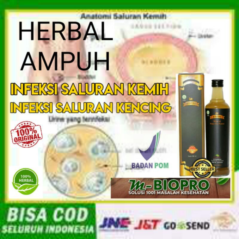 OBAT INFEKSI SALURAN KENCING l OBAT INFEKSI SALURAN KEMIH l OBAT INFEKSI KANDUNG KEMIH  M BIOPRO