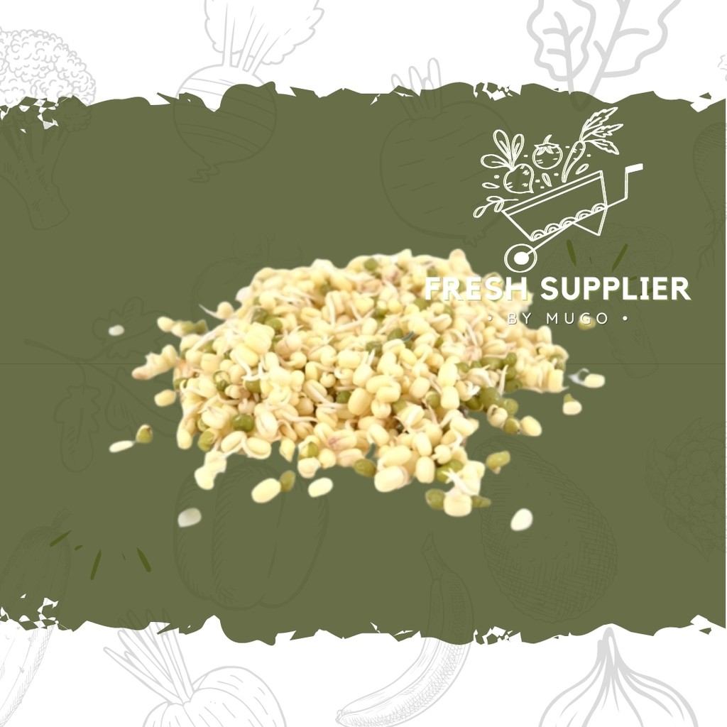 

Tauge Toge Kecambah 250g Fresh Supplier