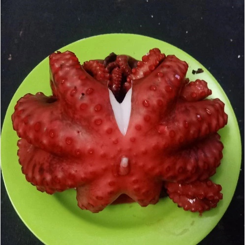 

Gurita cook Size 1kg