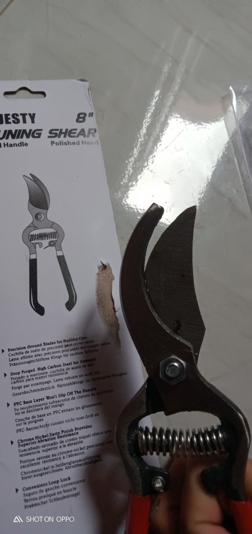 Gunting Dahan Gunting Ranting Gunting Tanaman 72114-1701