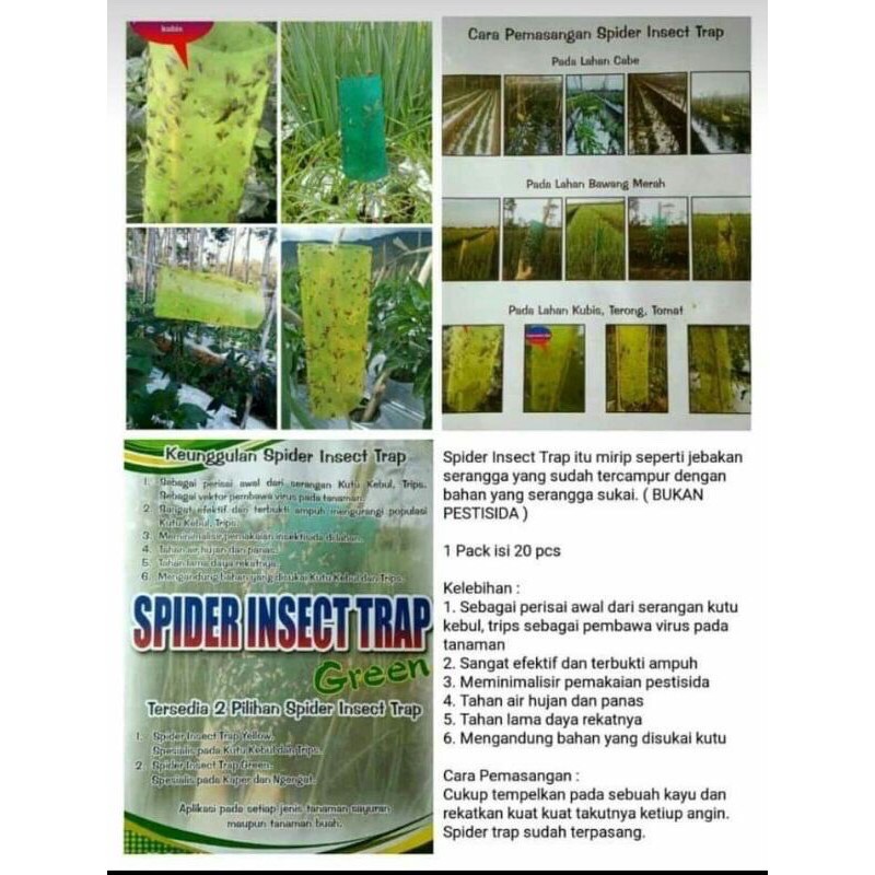 Spider Insect Trap Warna Hijau dan Kuning