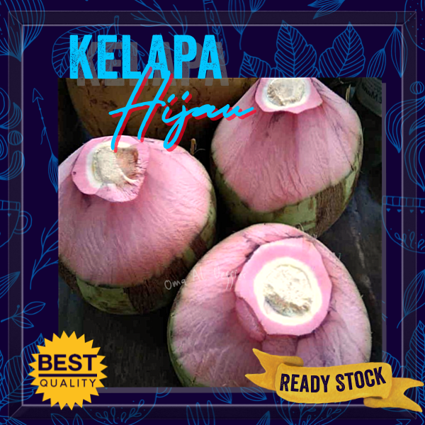 

KELAPA IJO / HIJAU UTUH / FRESH GREEN COCONUT PER BUAH