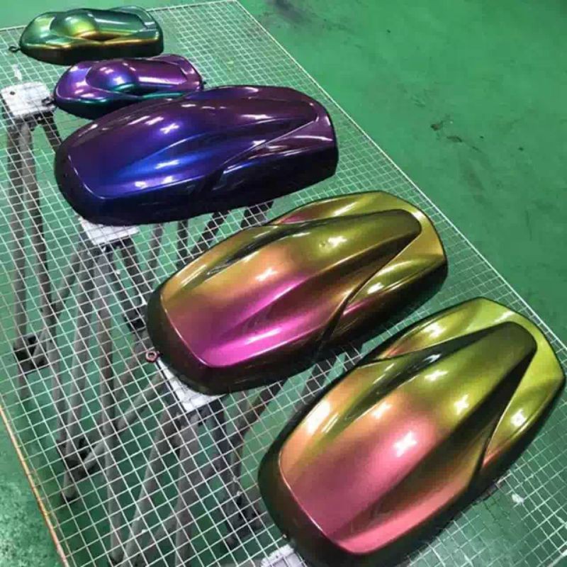 Cat bunglon  chameleon color