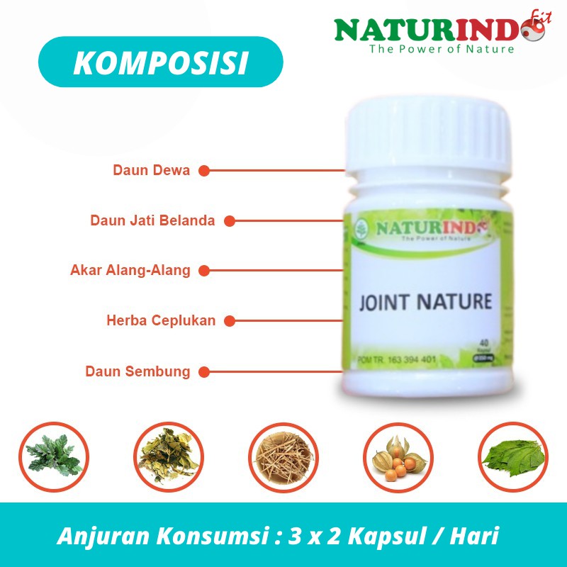 Joint Nature Obat Herbal Pengapuran Tulang Osteoporosis Tulang Keropos Kapsul Naturindo Bisa Cod-2