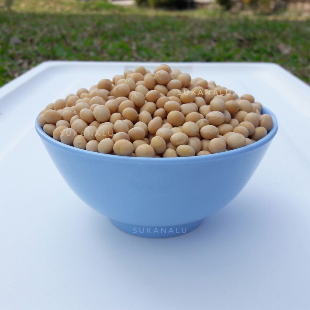 

KACANG KEDELAI NON GMO 1KG