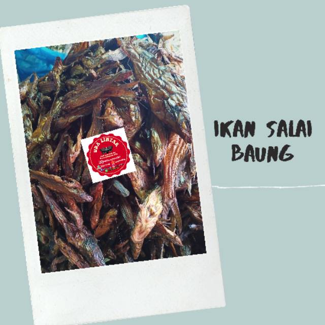 

IKAN SALAI BAUNG 100 GRAM