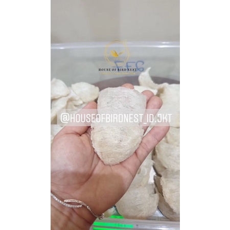 

RAW BIRDNEST TRIANGLE SARANG BURUNG WALET KERING