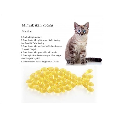 Minyak Ikan Kucing isi10 Butir