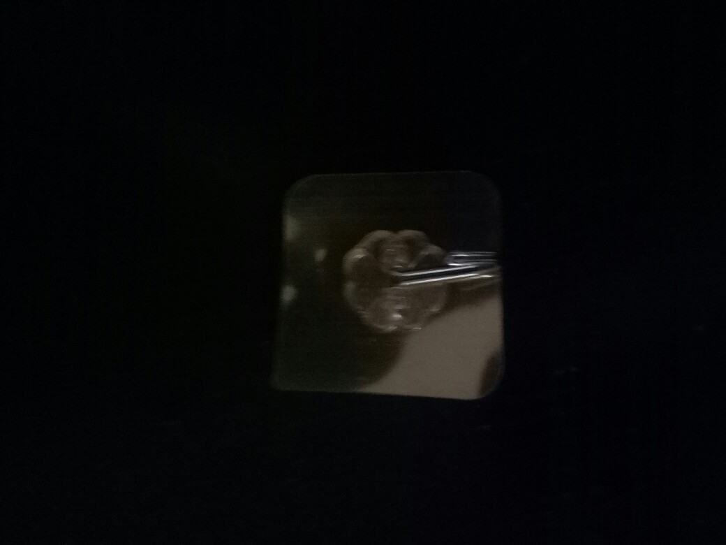 [stylokids] Gantungan Tempel Dinding Multiguna Gantungan Tempel Dinding Transparan (1kg Muat 220pcs)