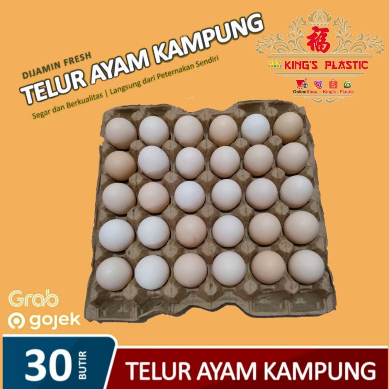 

Telur Ayam Kampung Asli