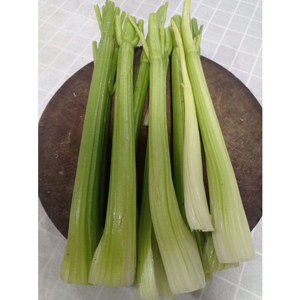 

Celery Stick Premium 1 Kg