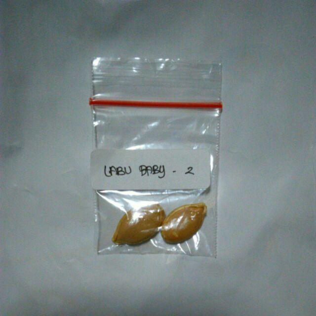 Benih Labu Baby Kabocha Pumpkin - Biji Bibit Buah
