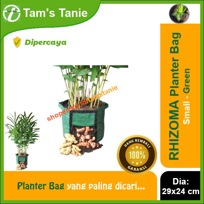 Rhizoma Planter Bag Green - Small