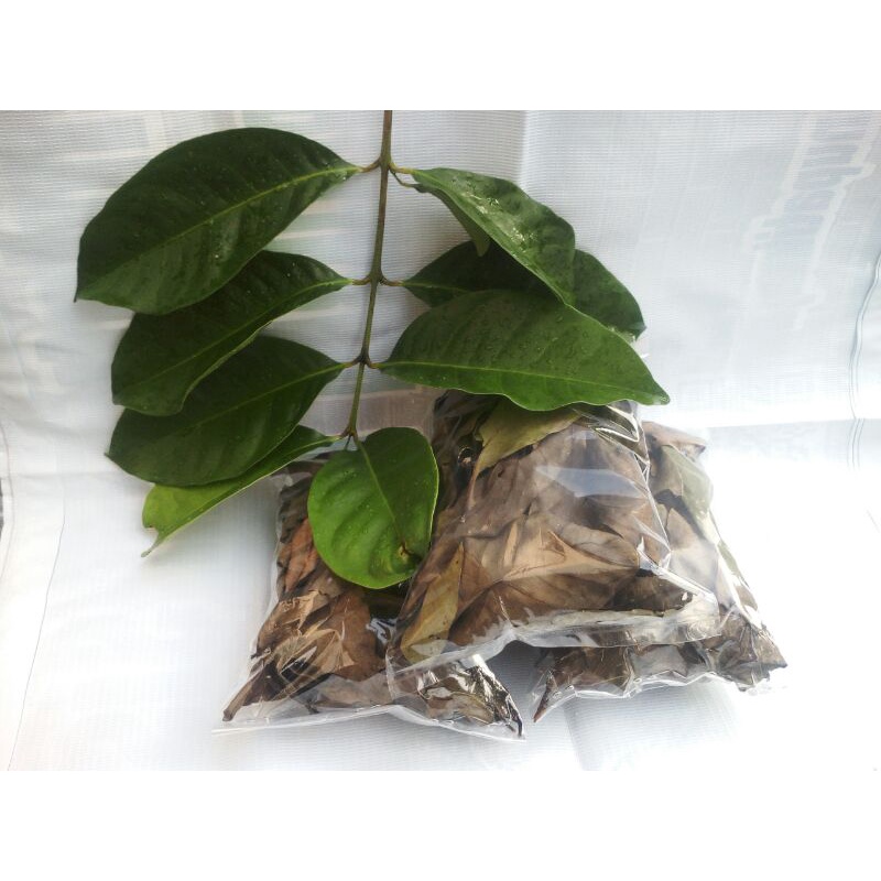 

Daun salam kering 20 gr