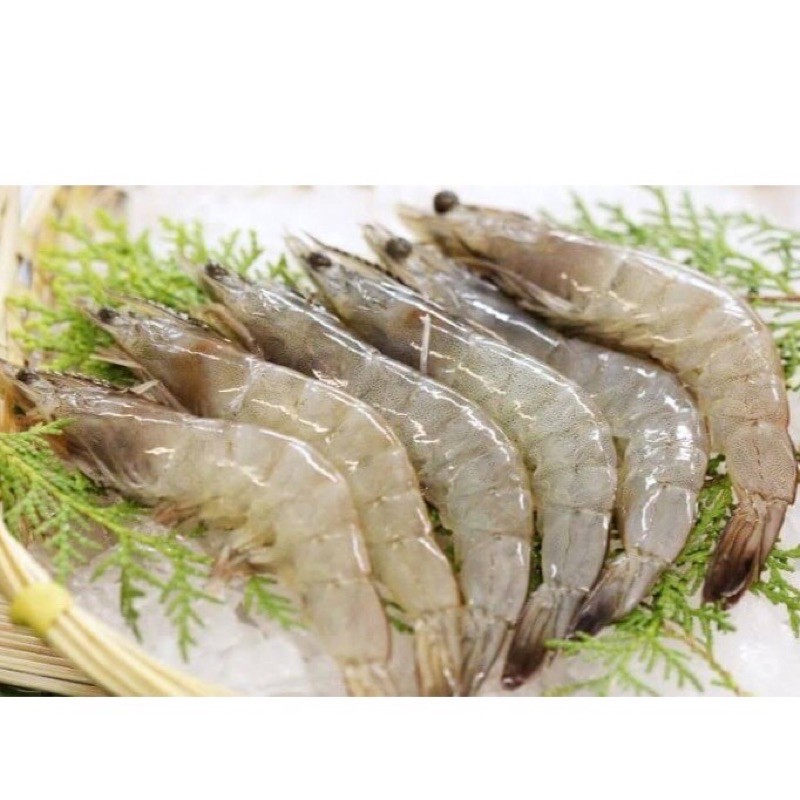 

TERMURAH!! FreshPAK - Udang Peci Segar 250gr / Udang segar / Daging segar ,,