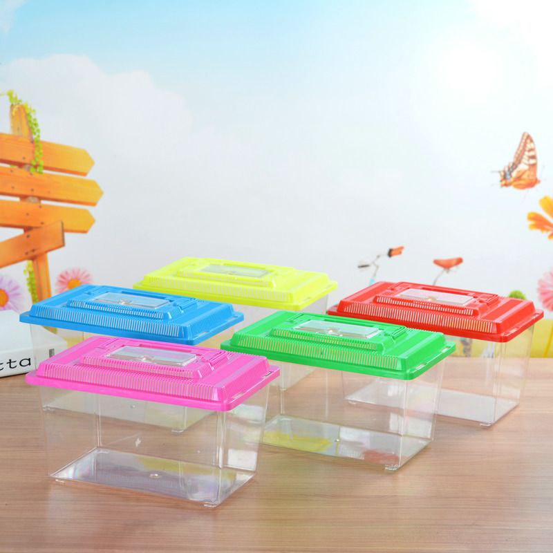 TERARIUM Aquarium Mini Ikan Cupang Ikan Hias Terarium Mini Kura Kura Hamster FEFARM