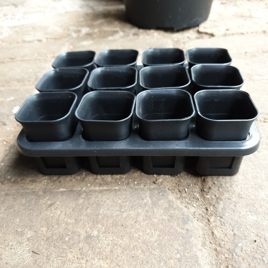 TRAY POT KOTAK 5 cm / TRYPOT KOTAK 5 cm ( DENGAN POT KOTAK 5 12 BH) HITAM