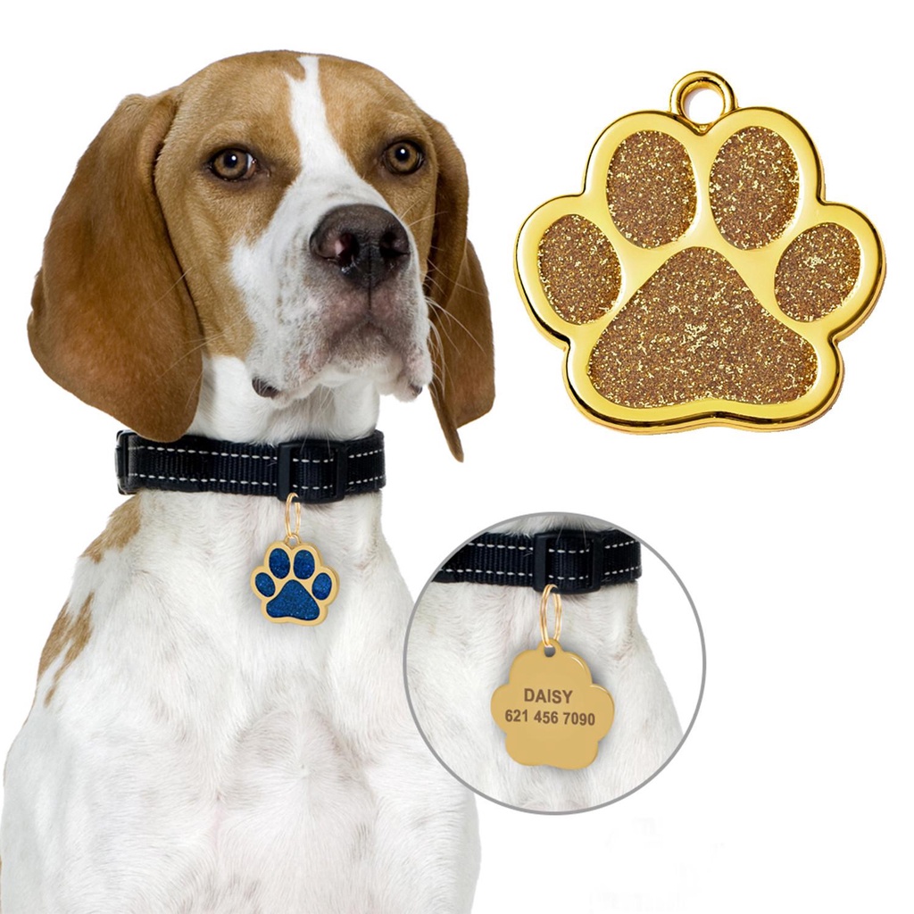 Solighter Pet ID Tag Jejak Kaki Baru Anti Hilang Dogs Name Tag