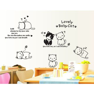 Lovely Baby Cat AY9048 90x60 Stiker  Dinding Wall 