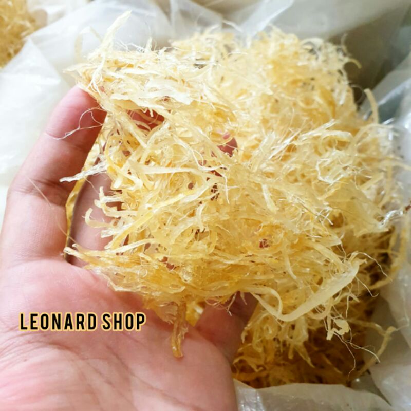 

HISIT KERING 100GM BAHAN SUP SIRIP IKAN HIU BERKUALITAS GRADE A COCOK UNTUK MASAKAN SUP RESTO MENU SOUP ASPARAGUS HECHI HICHI HE CHI HI HI SIT SHARK FIN
