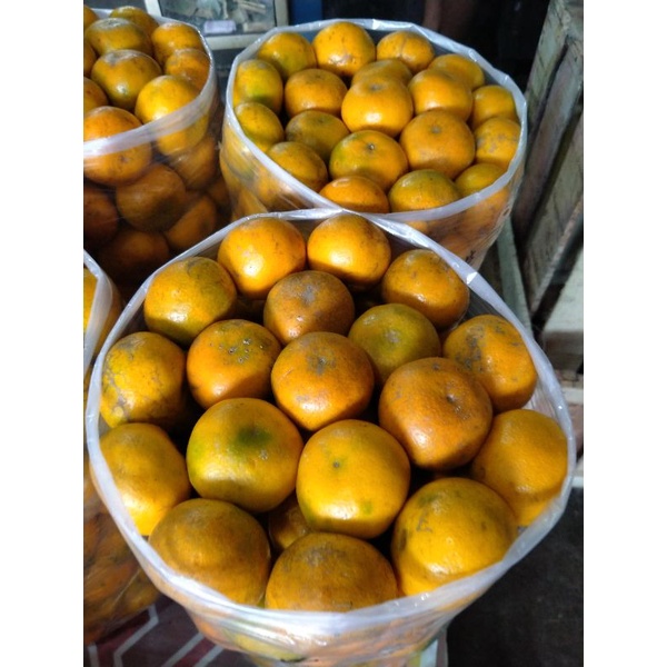 

JERUK MEDAN GROSIR 1KG