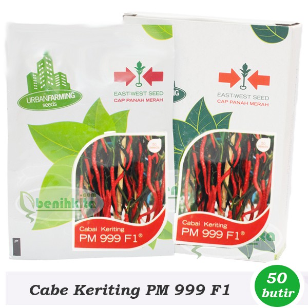 Benih-Bibit Cabe Keriting PM 999 F1 (Cap Panah Merah)