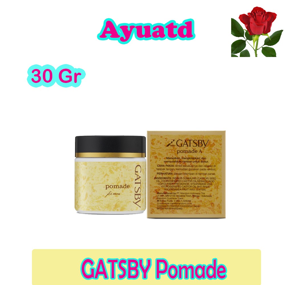 Minyak Rambut Gatsby Pomade 30g For Men