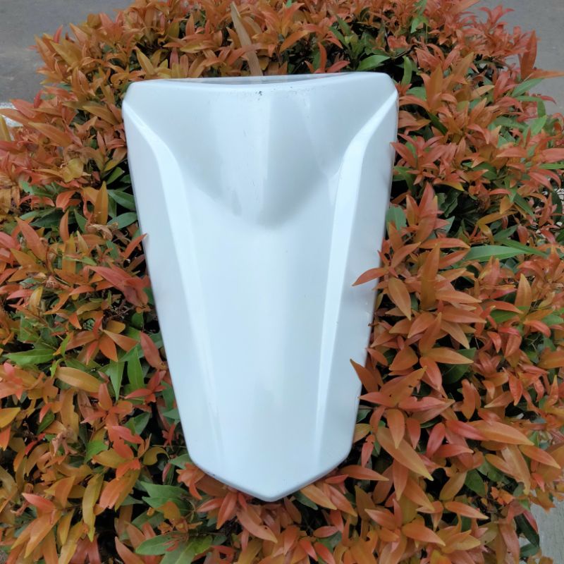 Single Seat Kawasaki Ninja RR New RR Original