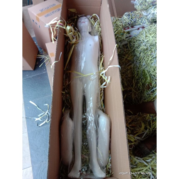 

torso jenasah ukuran tinggi 135cm tersedia laki laki dan wanita