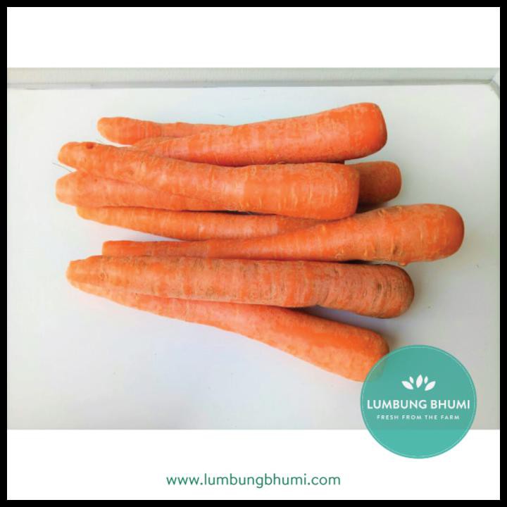 

BEST DEAL WORTEL ( SAYUR - SAYURAN CURAH ) !!!