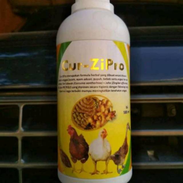 780 Koleksi Gambar Semua Unggas HD