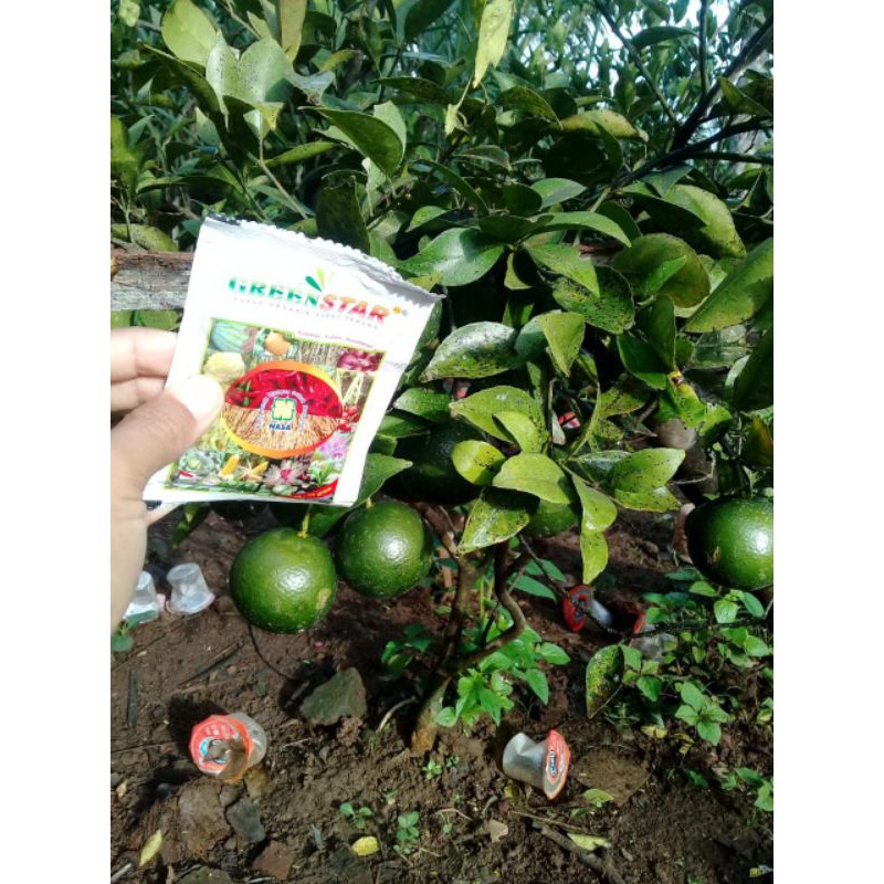 PUPUK GREEN STAR NASA