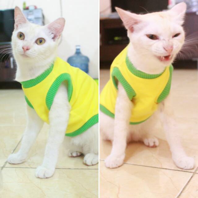 Kaos biasa warna kuning list hijau untuk anjing dan kucing / baju kucing murah meriah size S M L XL