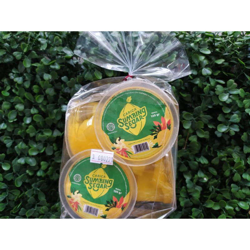 

MINUMAN BUAH CARICA SUMBING SEGAR KUCIR ISI 6