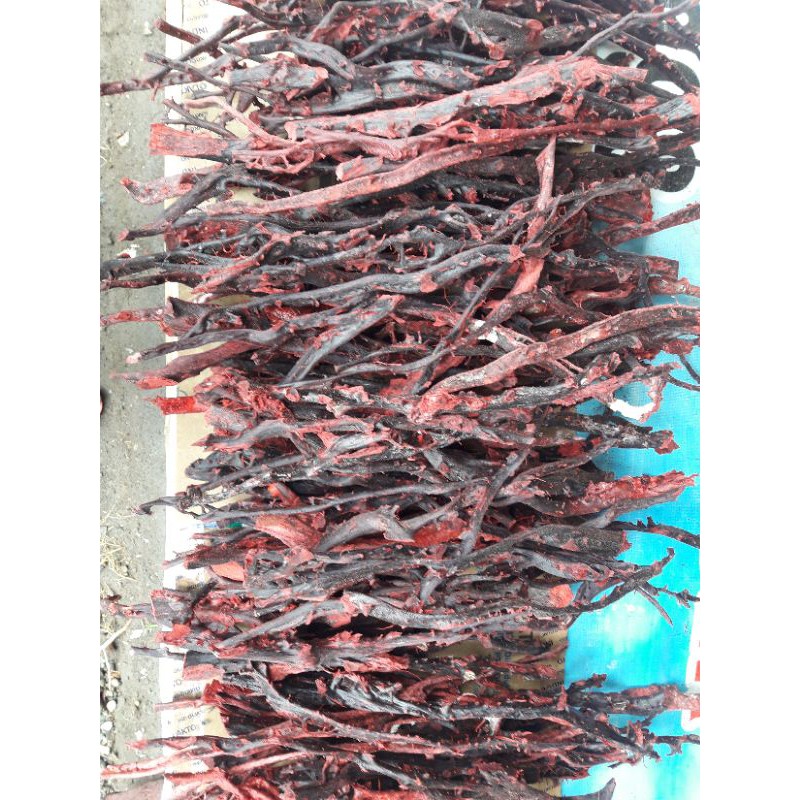 bahan akar bahar merah ecer