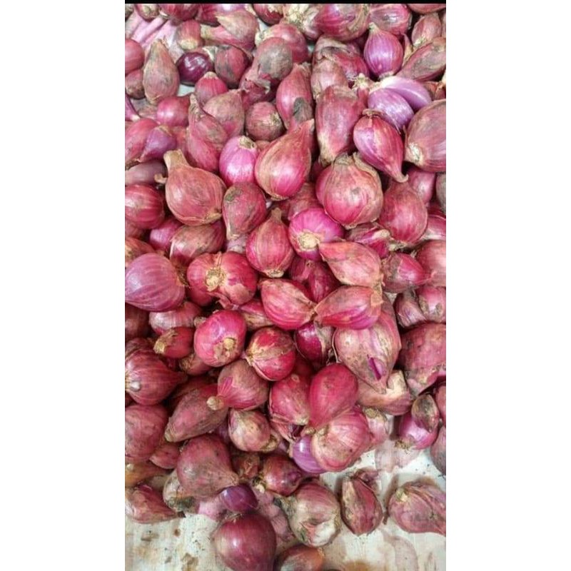 

bawang merah super grand 250gm