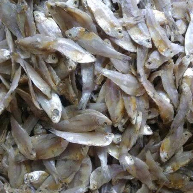 

Ikan Asin Kresek Medan Super Asli Belawan Dijamin Mantap