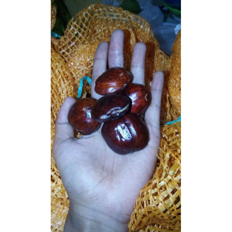 

Jengkol Tua 750 gr