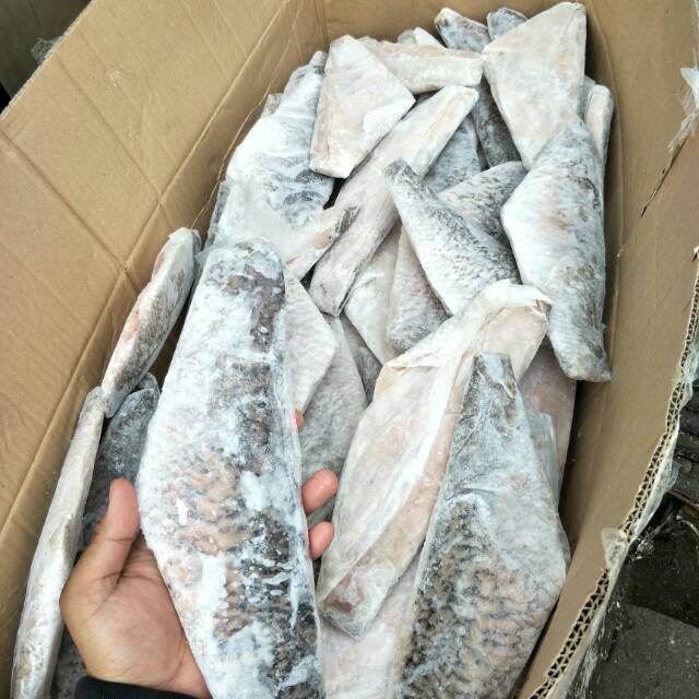 

Fillet Kakap Putih / baramundi 1KG
