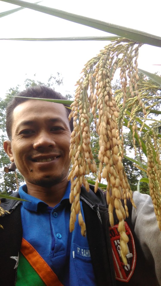 Engsel Tipis Kuning 3 Inch