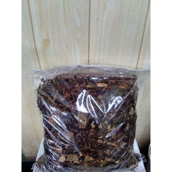 METAN kompilasi humus bambu + pakis cacah (andam)