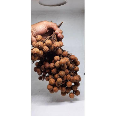 biji rotan bulat/ bahan hiasan mahar / biji rotan /kg