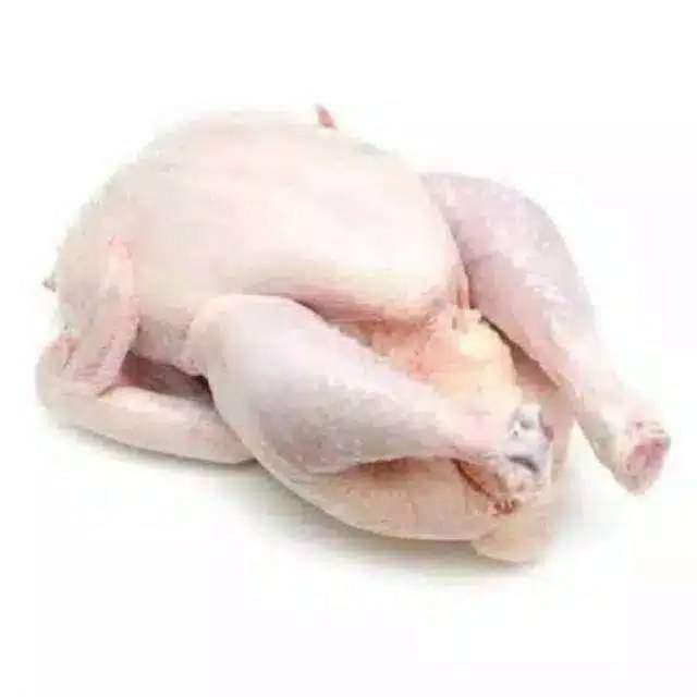 

Ayam Potong Segar Utuh 1,1kg (Lebih) 51000