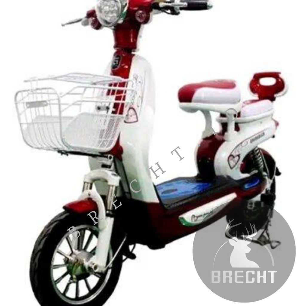  Sepeda Listrik Evergreen  Dream E Bike Khusus Indah Cargo 