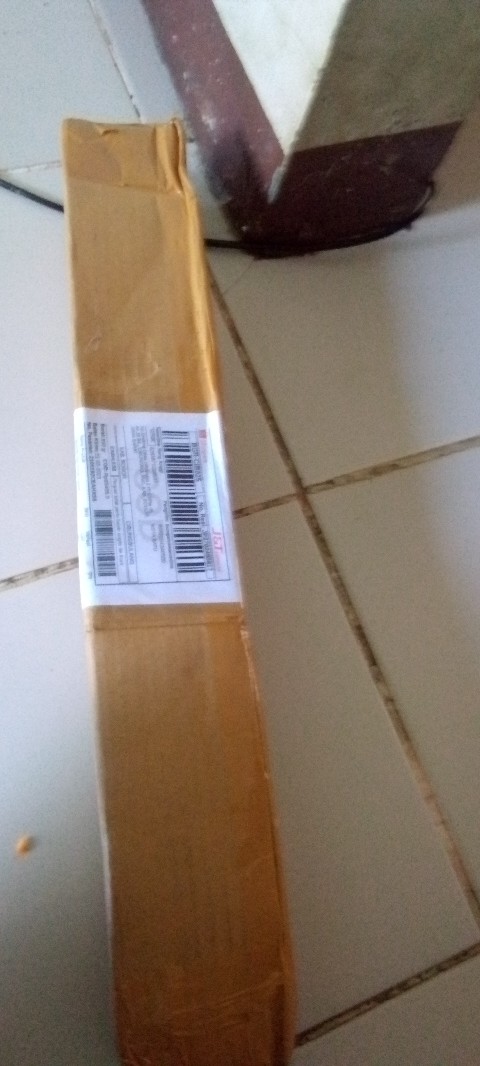 Tanaman Hias Sedap Malam